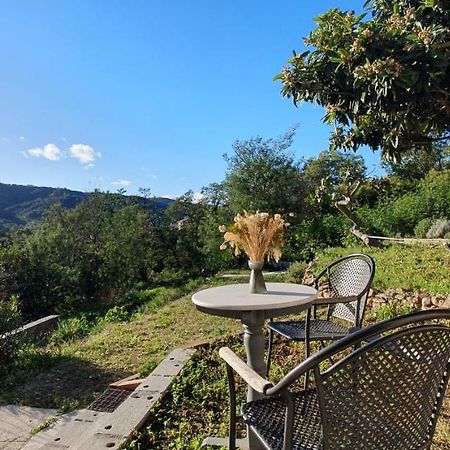 Appartamento Calme Et Vue Panoramique Pégomas Esterno foto